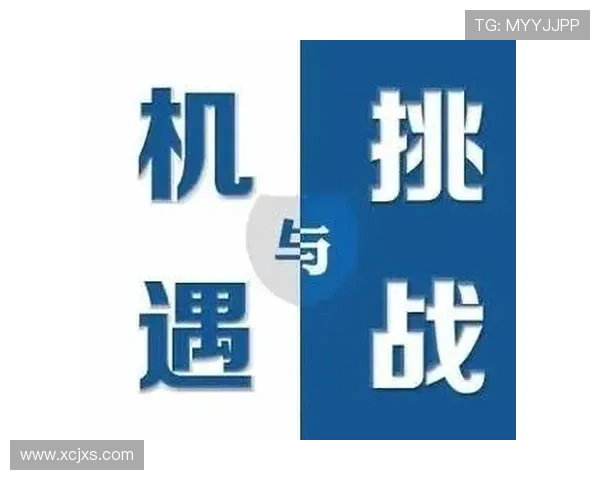 B费职业生涯的辉煌转折点与表现稳健的趋势分析