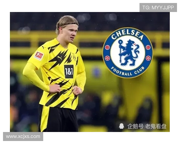 德甲各队夏窗转会动态：引援布局与阵容调整持续推进